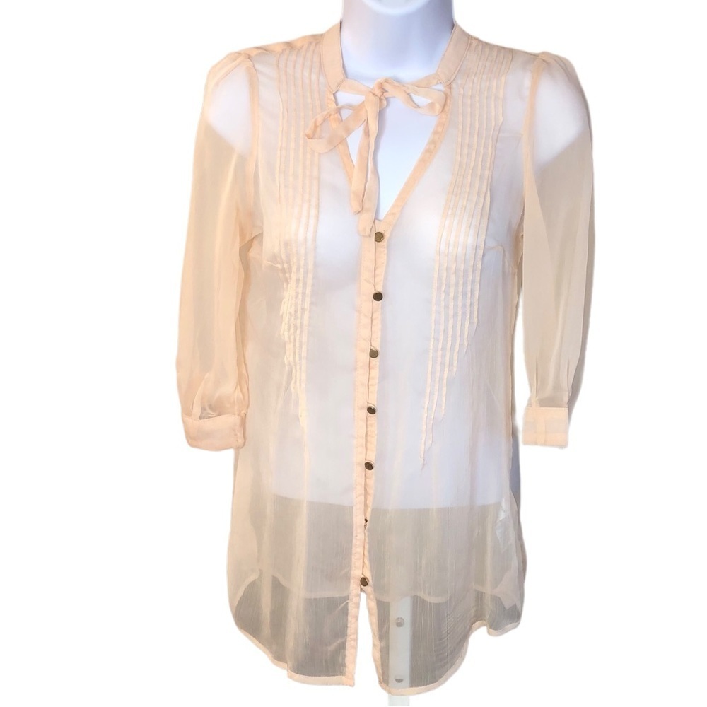 Blush Gauzy Chiffon Sheer Tunic Blouse with Buttons and Pleats​​​​